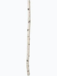 Birch pole 30” - blunt