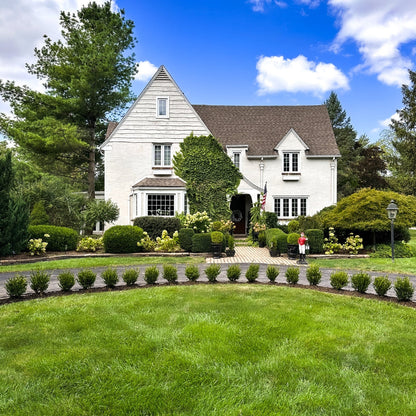 Boxwood &