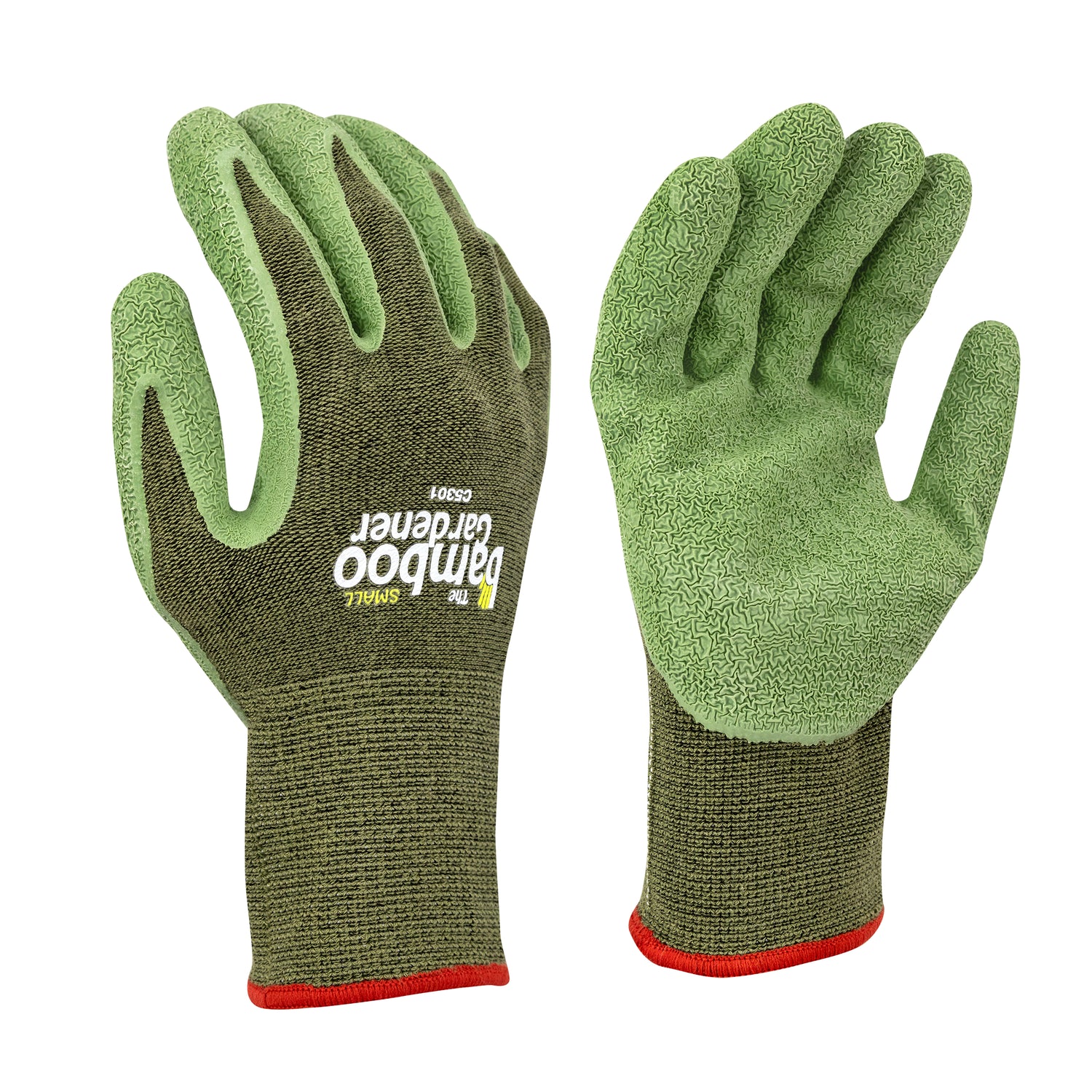 The Bamboo Gardener Rubber Palm - Medium product photo