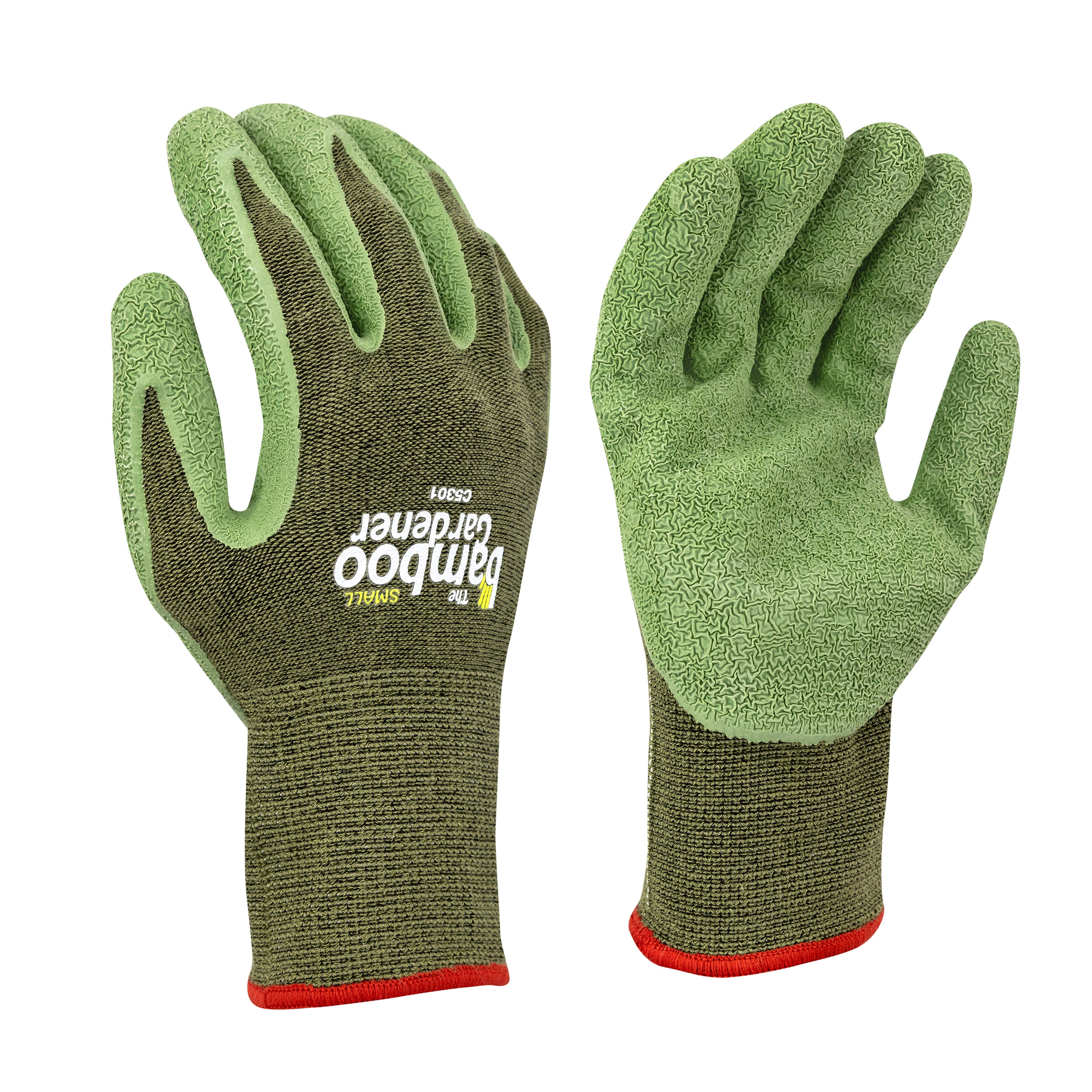 The Bamboo Gardener Rubber Palm - Large product photo