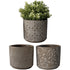 5.5" Ellis Planter product photo